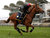 Profile picture of Florin Chirita