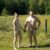 Profile picture of Txnaturistcouple