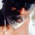 Profile picture of Mino