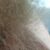 Profile picture of Markus