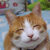 Profile picture of Ewout