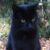 Profile picture of Serge