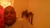Profile picture of P.A