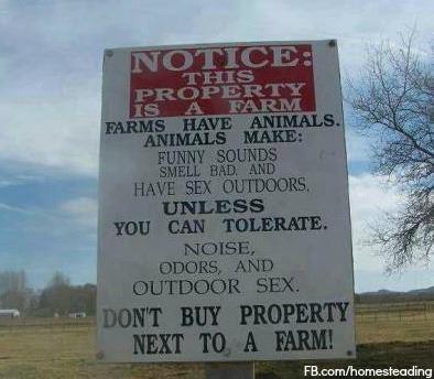 farm-animals-sex 