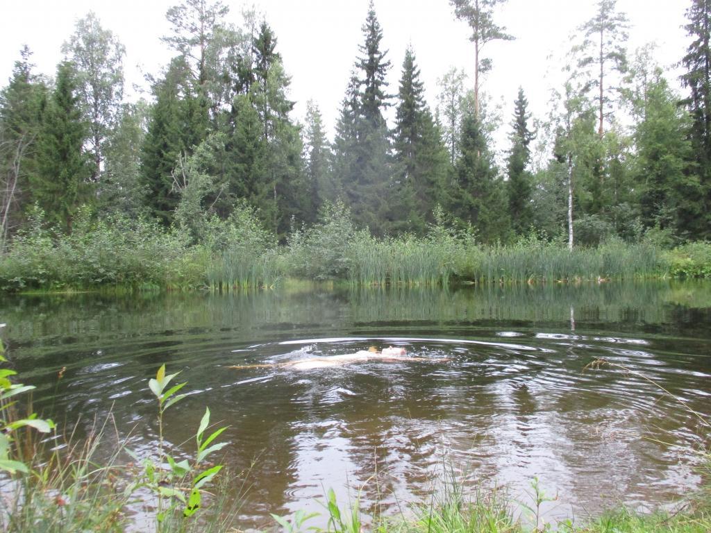 Finland.Summer. 