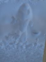 My after-sauna-snow-mark 