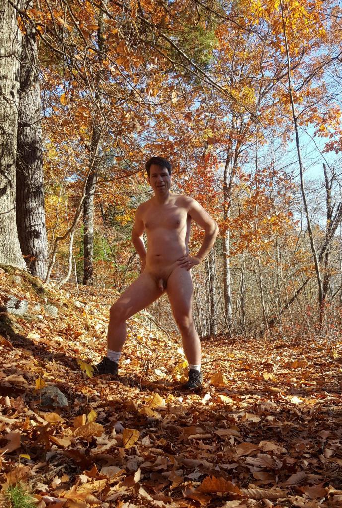 fall foliage 