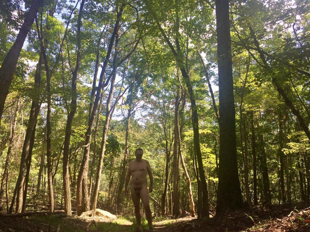 Hiking in the woods of West Virginia 