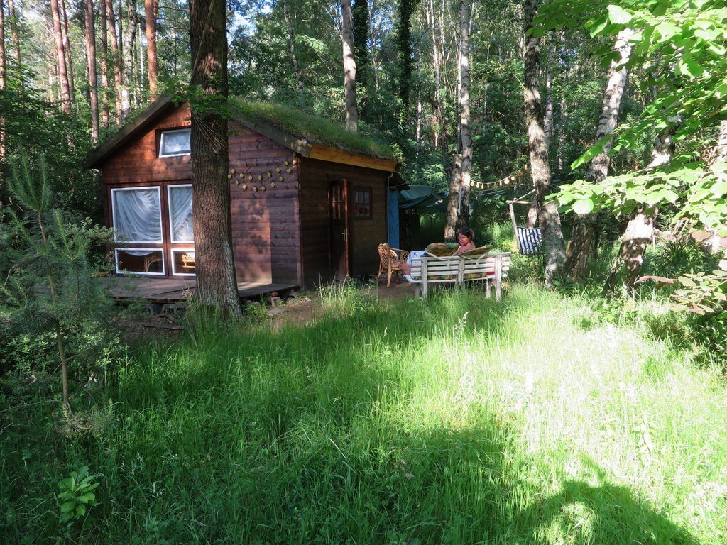 our forest house in year 14 