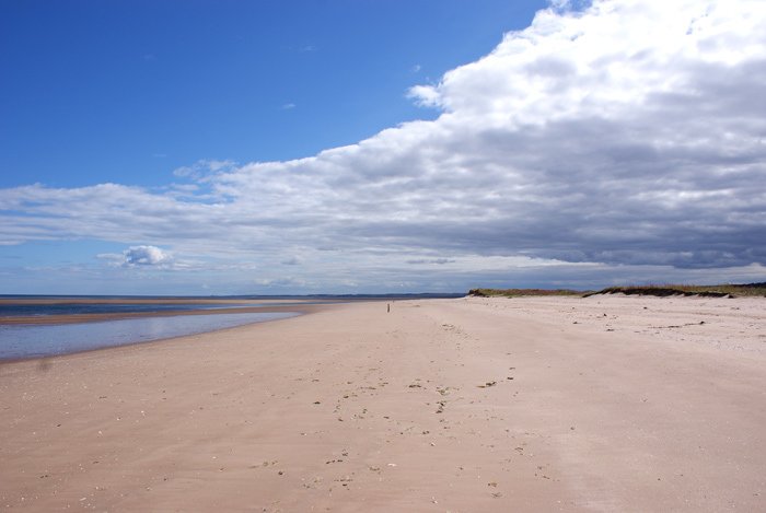 Tentsmuir 