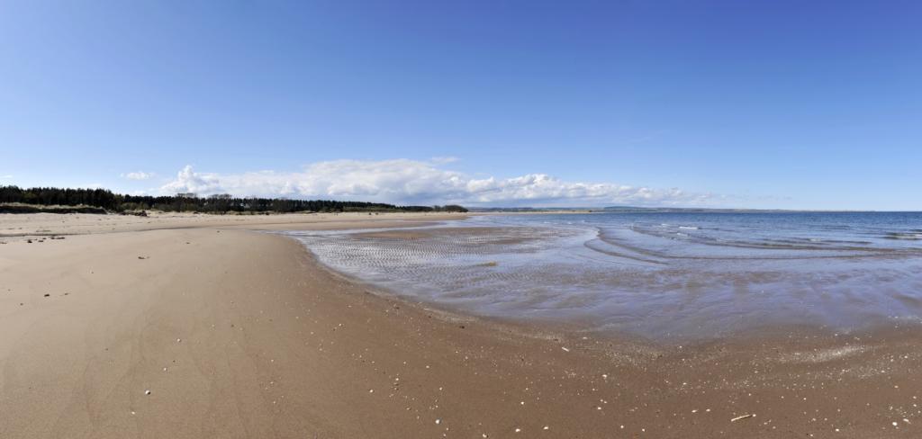 Tentsmuir 