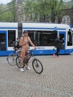 IMG_4206 