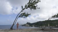 Barbados. This is Pico Teneriffe, a tourist attraction, in the background. 