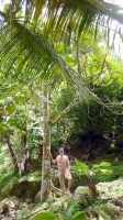 High in the mountains in the interior of Grenada 