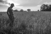 in the fields 