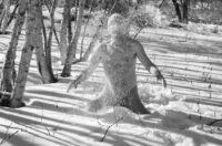 Lovely snowbath 