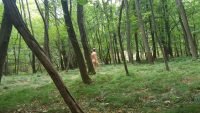 20161006_151440 