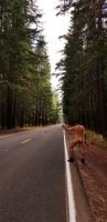 IMG-20180914-WA0003 