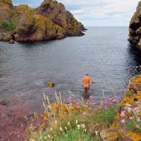 At St Abbs Head, Scotland (photo from the article) 