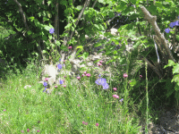 overzicht-camping-04 