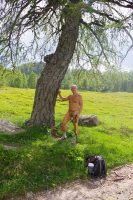 Pit-stop larch2_opt 
