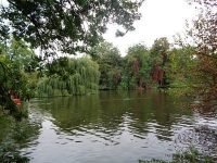 Thames at Streatley 