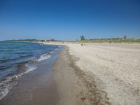 IMG_0661 