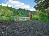 Jim Tighe Wandering Bare By Stillaguamish River 