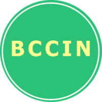 BCCIN logo What is it about Nudity 