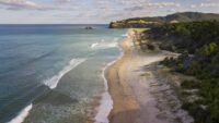 Coromandel beach becomes popular spot for first-time nudists2 