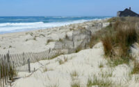 Nantucket residents vote to make all beaches topless 