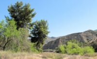 Nude hiking in Redrock Canyon1 