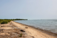 People worried about the future of Torontos clothing-optional Hanlans Point Beach 