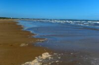 The Yorkshire beach where there was a battle against naked sunbathers 