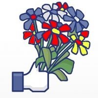 x FB like mit Blumen 