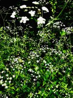 7C0939D4-15DE-4667-A4C0-FA2A38754E4B 