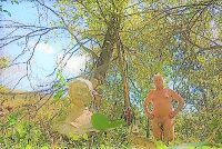 Gaea Retreat September 26 2018 1 