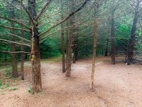 Gaea 18_opt 